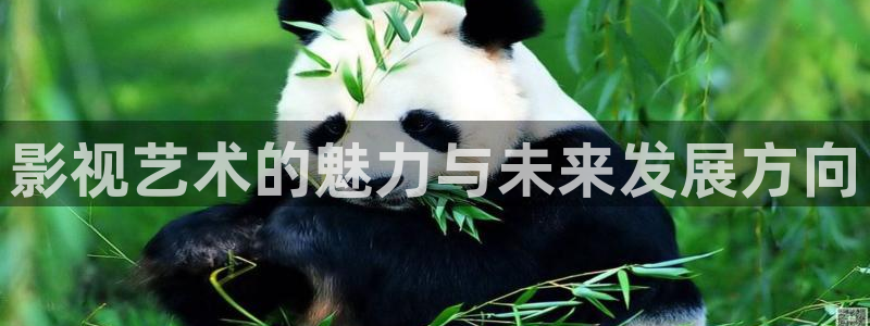 好看影院在线观看：影视艺术的魅力与未来发展方向