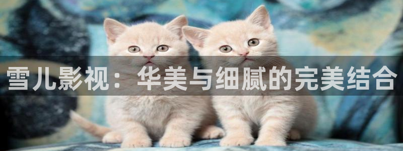 好看影院：雪儿影视：华美与细腻的完美结合