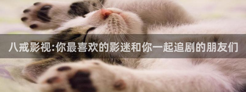 《四库影视》电视剧在线观看-好看影院：八戒影视:你最喜欢的影迷和你一起追剧的朋友们