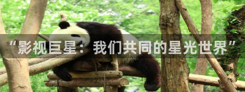 好看影院大全：“影视巨星：我们共同的星光世界”