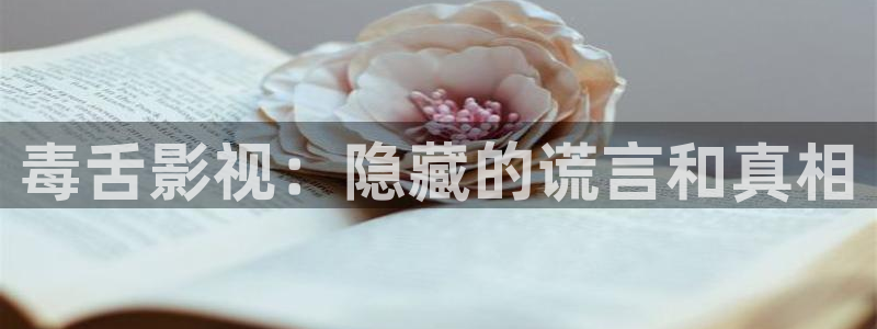 好好看影院：毒舌影视：隐藏的谎言和真相