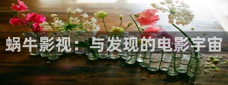 好看影院大全：蜗牛影视：与发现的电影宇宙