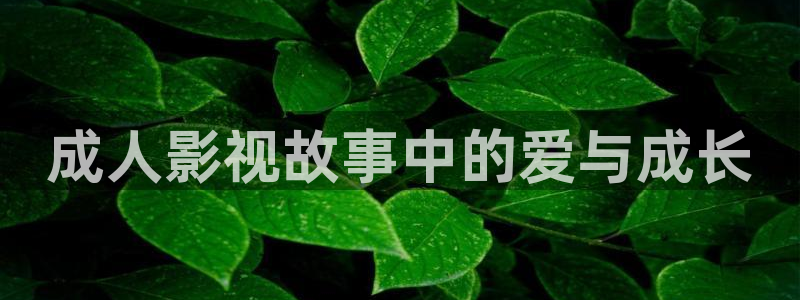 四虎好看影院：成人影视故事中的爱与成长