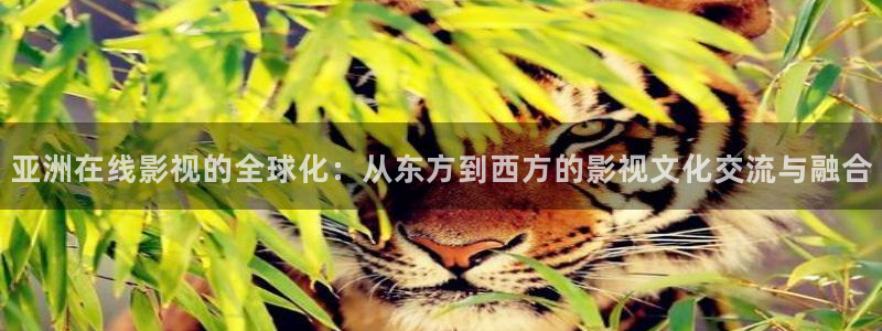 好好看影院：亚洲在线影视的全球化：从东方到西方的影视文化交流与融合