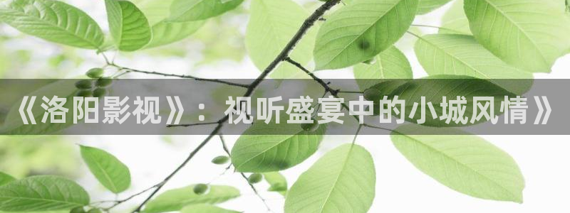好看影院在线观看电影：《洛阳影视》：视听盛宴中的小城风情》